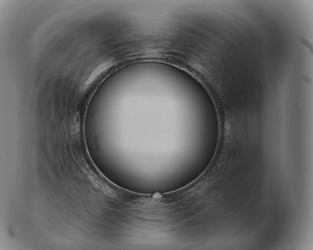 X0000103471450200809191824