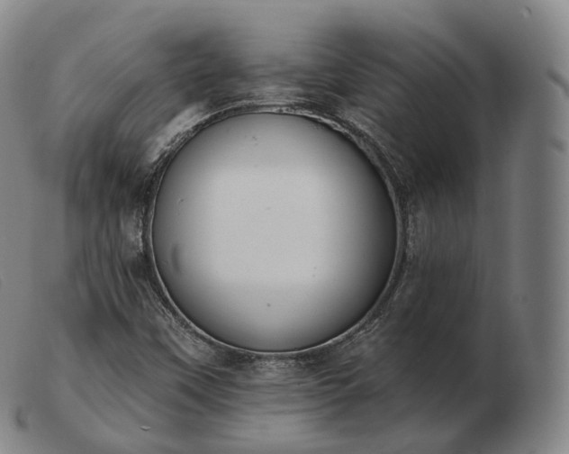 X0000103471451200809191824