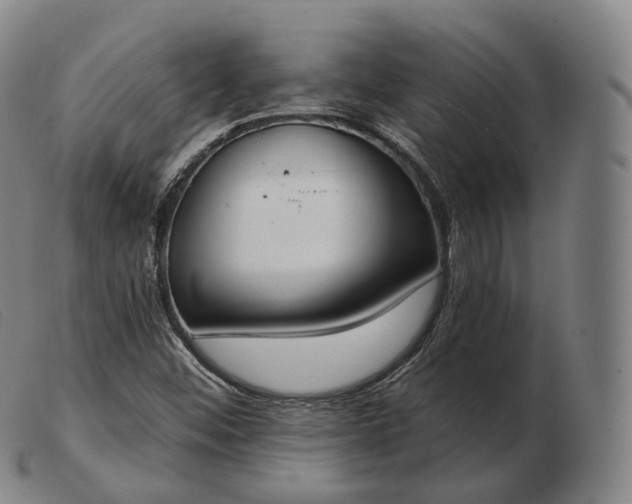 X0000103471452200809191824