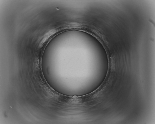 X0000103471453200809191824