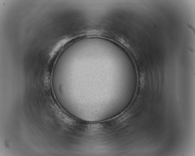 X0000103471454200809191824