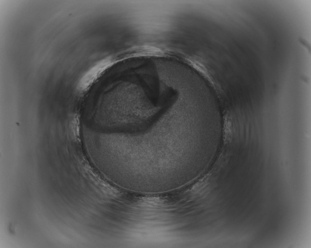 X0000103471455200809191824