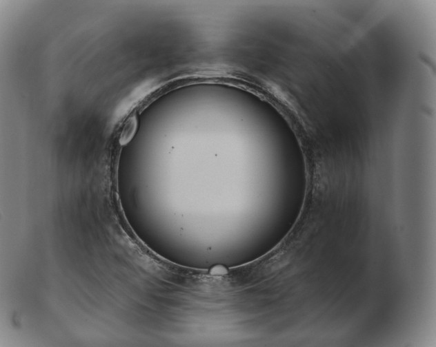 X0000103471456200809191824