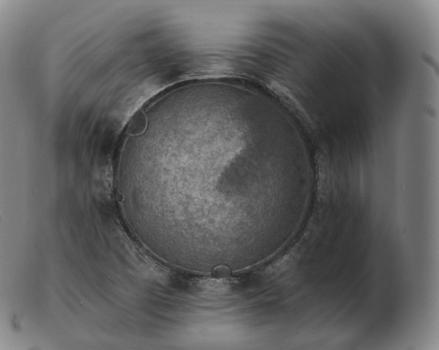 X0000103471457200809191824