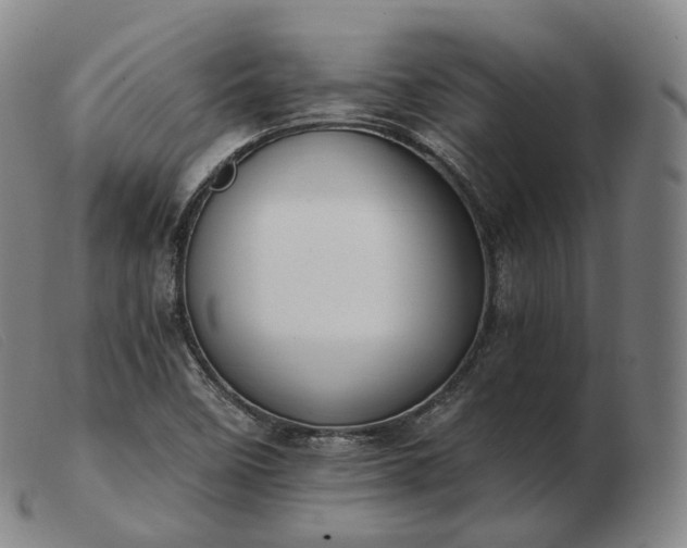 X0000103471458200809191824