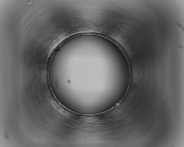 X0000103471460200809191824