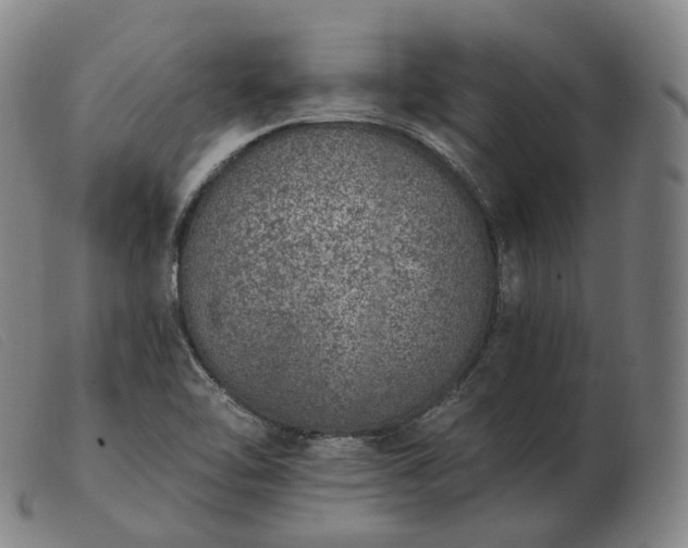 X0000103471462200809191824