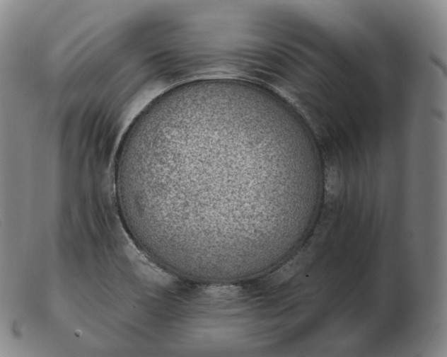 X0000103471466200809191824