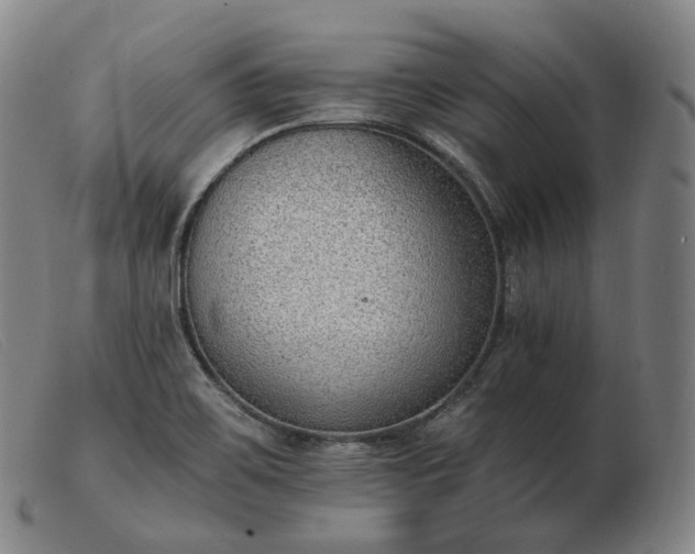 X0000103471467200809191824