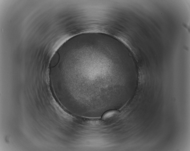 X0000103471468200809191824