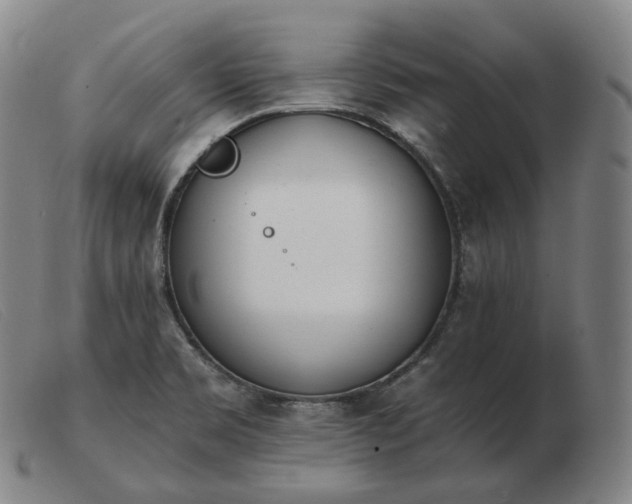 X0000103471469200809191824