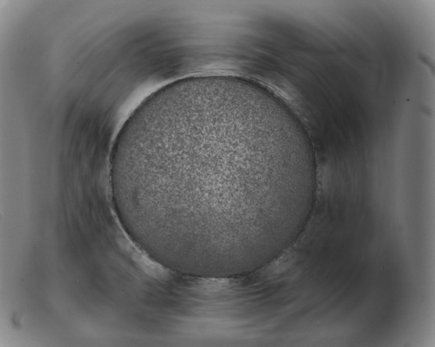 X0000103471470200809191824