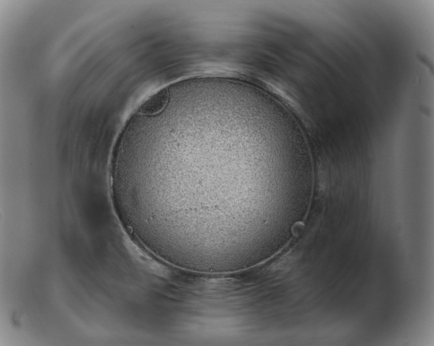 X0000103471471200809191824