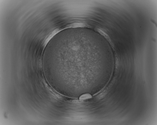 X0000103471473200809191824