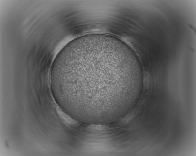 X0000103471474200809191824