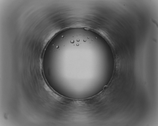 X0000103471476200809191824