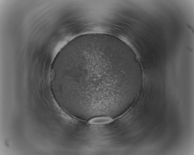 X0000103471477200809191824