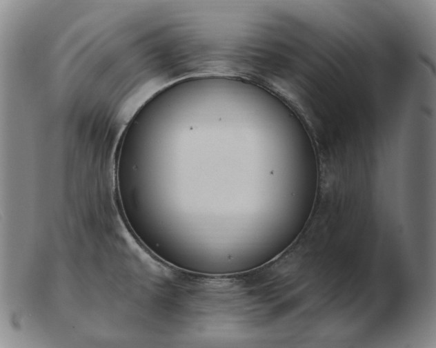 X0000103471479200809191824