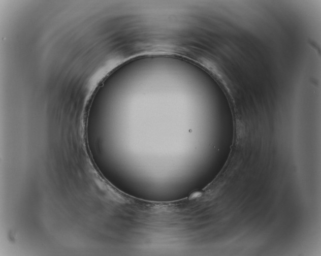 X0000103471480200809191824