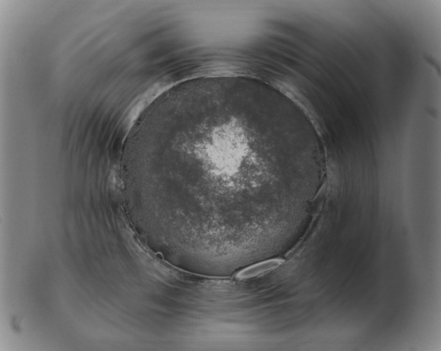 X0000103471481200809191824