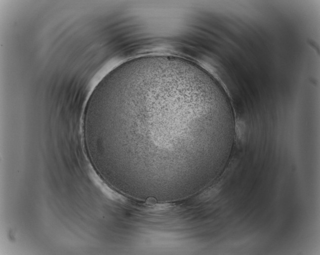 X0000103471482200809191824