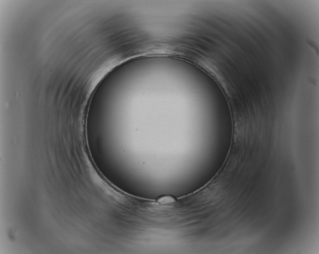 X0000103471483200809191823