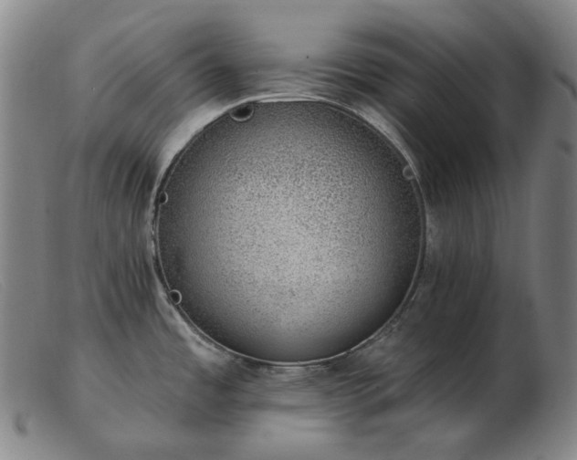 X0000103471485200809191823