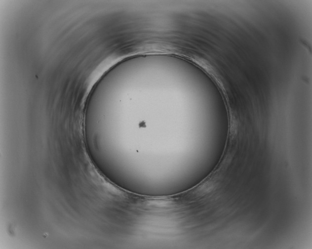 X0000103471486200809191823