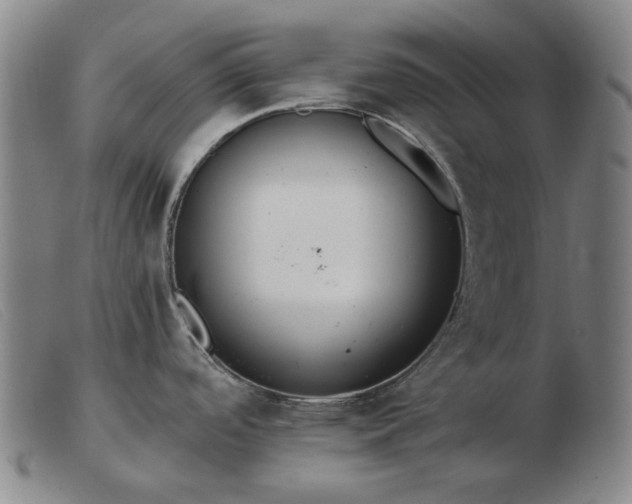 X0000103471488200809191823