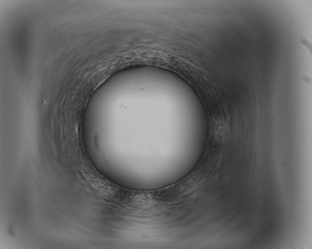 X0000103471489200809191822