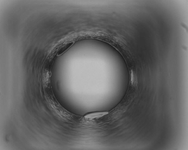 X0000103471492200809191822