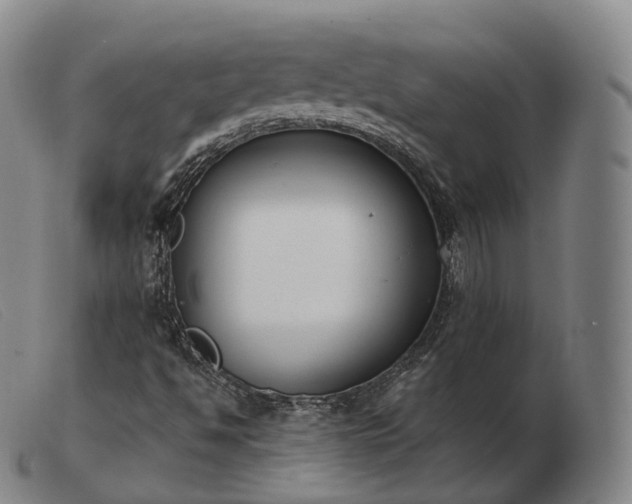 X0000103471494200809191822