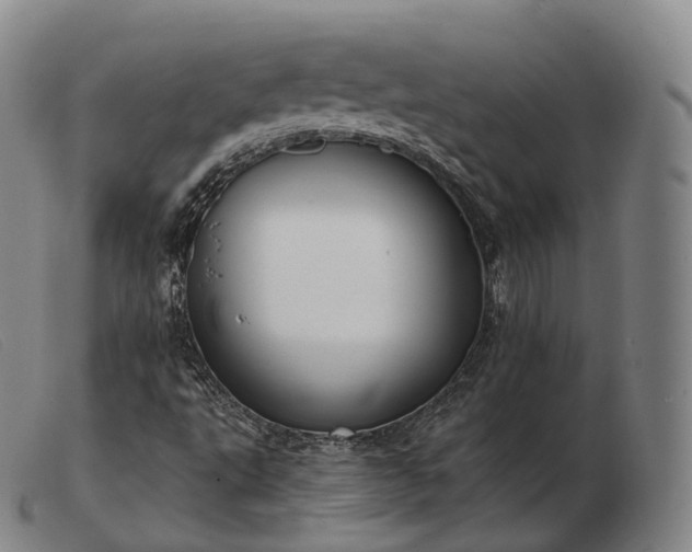 X0000103471495200809191823