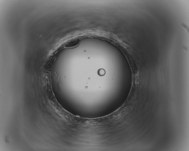 X0000103471496200809191823