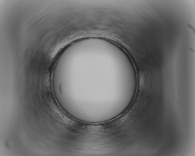 X0000103471498200809191823