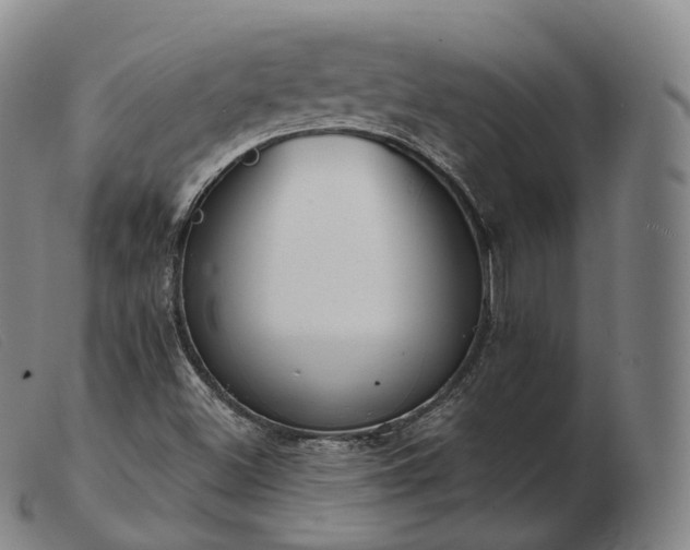 X0000103471500200809191823