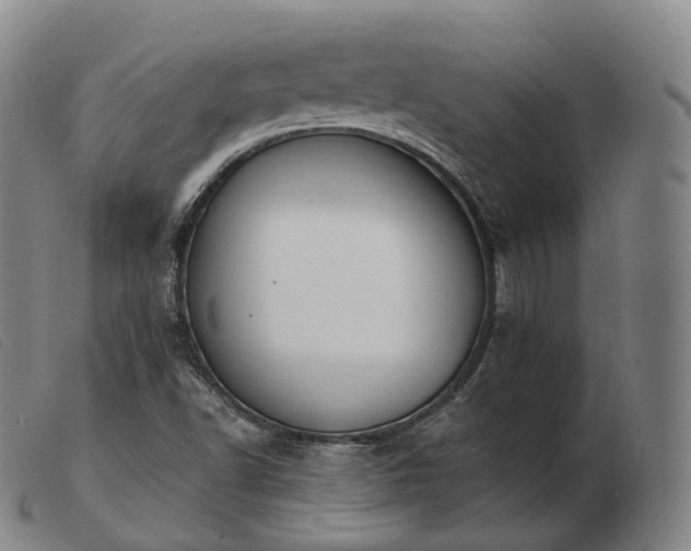 X0000103471502200809191823