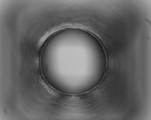 X0000103471503200809191823