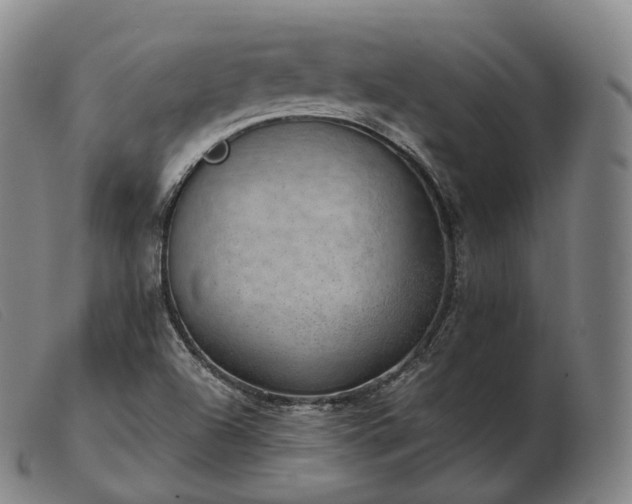 X0000103471504200809191823