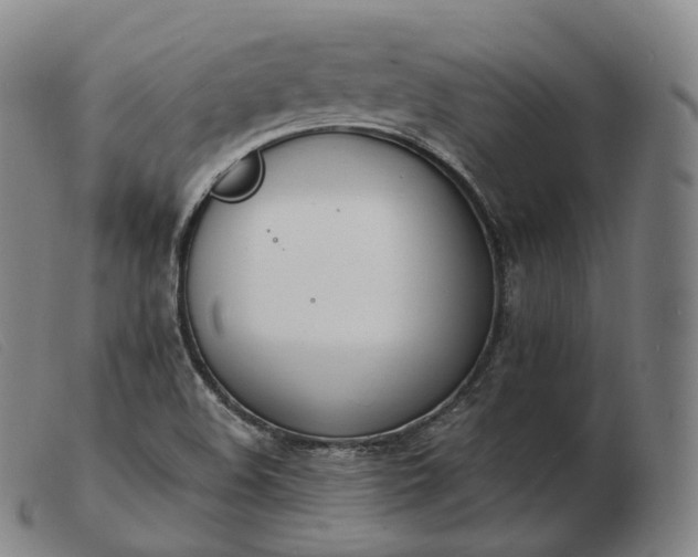 X0000103471508200809191823