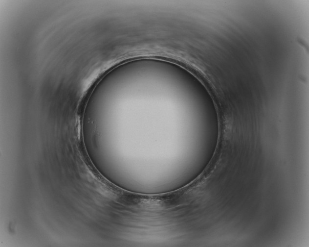 X0000103471509200809191823