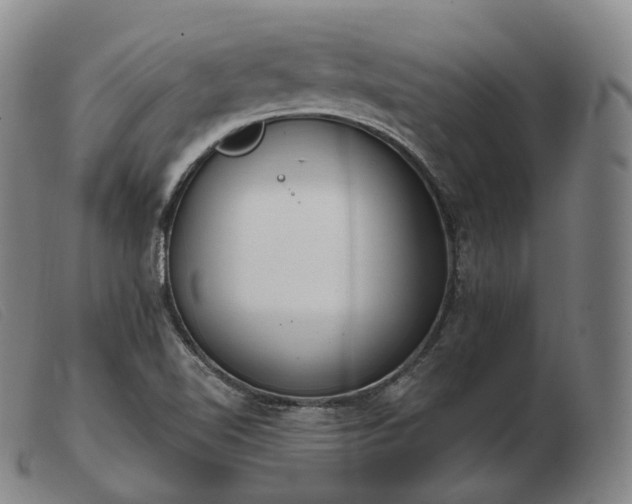 X0000103471510200809191823