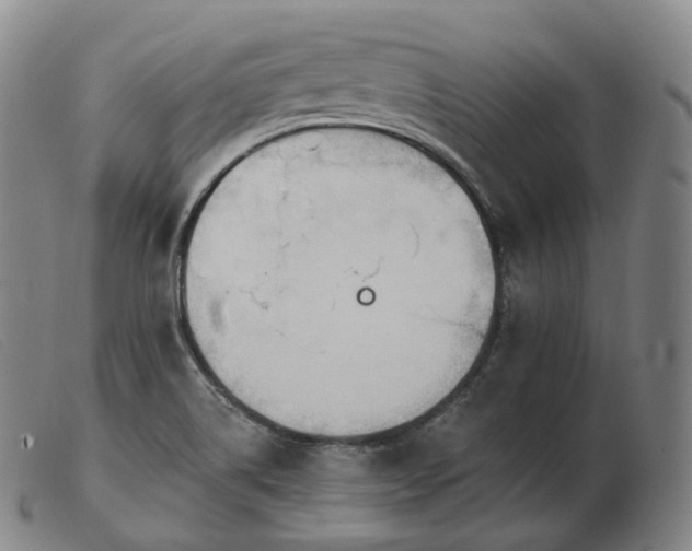 X0000103471514200809191823