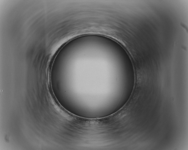 X0000103471515200809191823