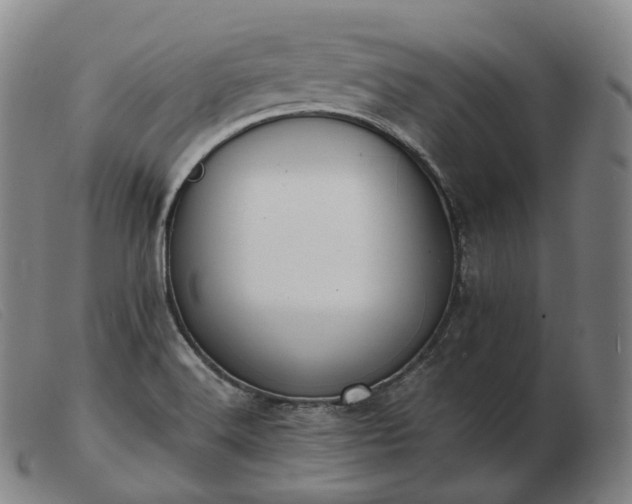 X0000103471516200809191823