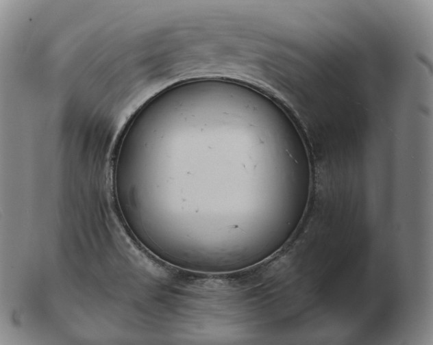 X0000103471517200809191823