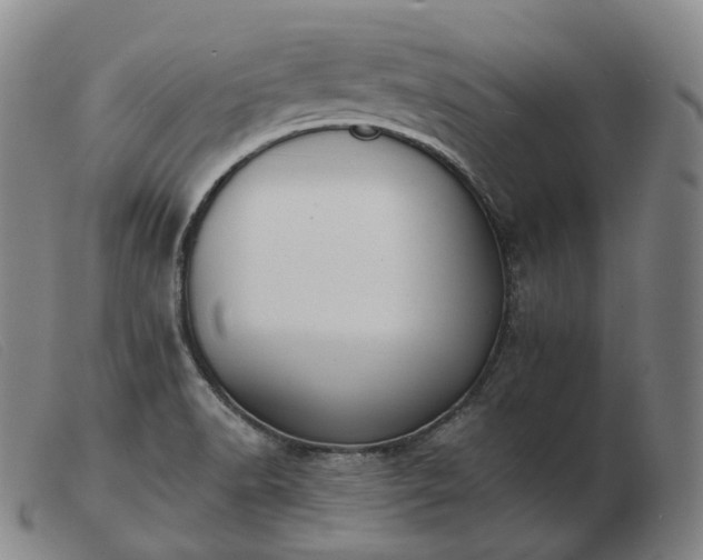 X0000103471518200809191823