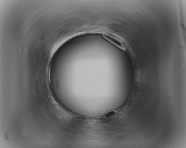 X0000103471520200809191823