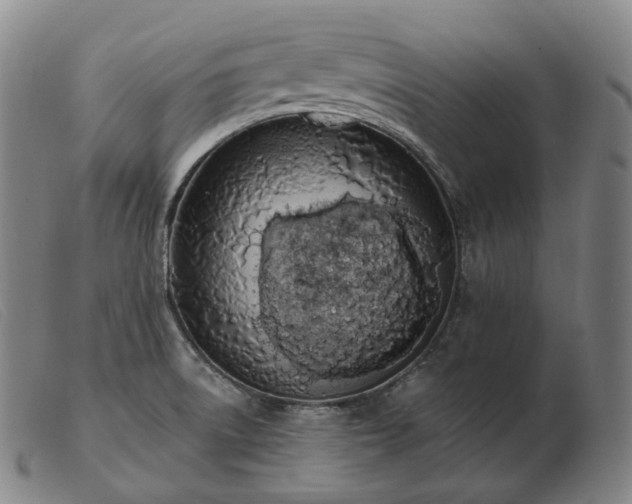 X0000103471522200809191823