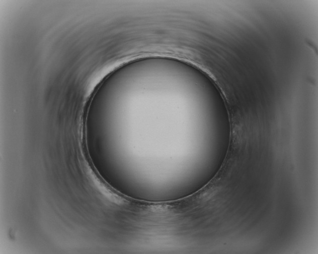 X0000103471523200809191823